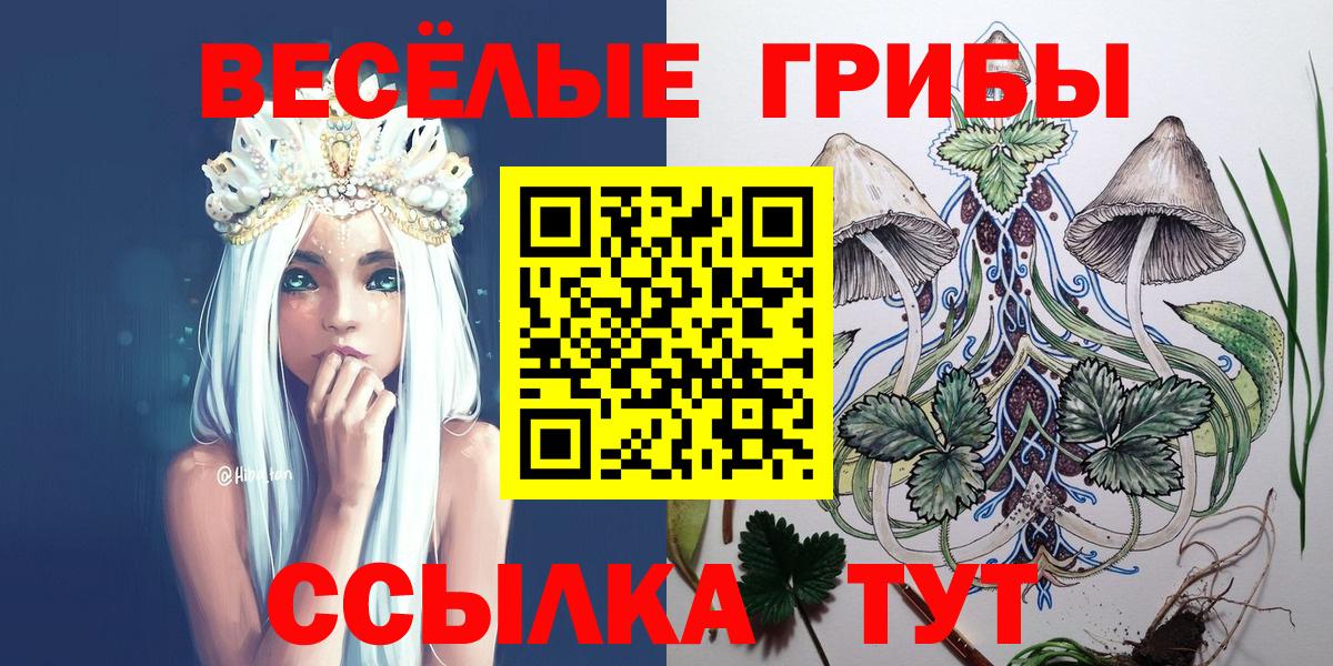 Псилоцибиновые грибы GOLDEN TEACHER Электрогорск