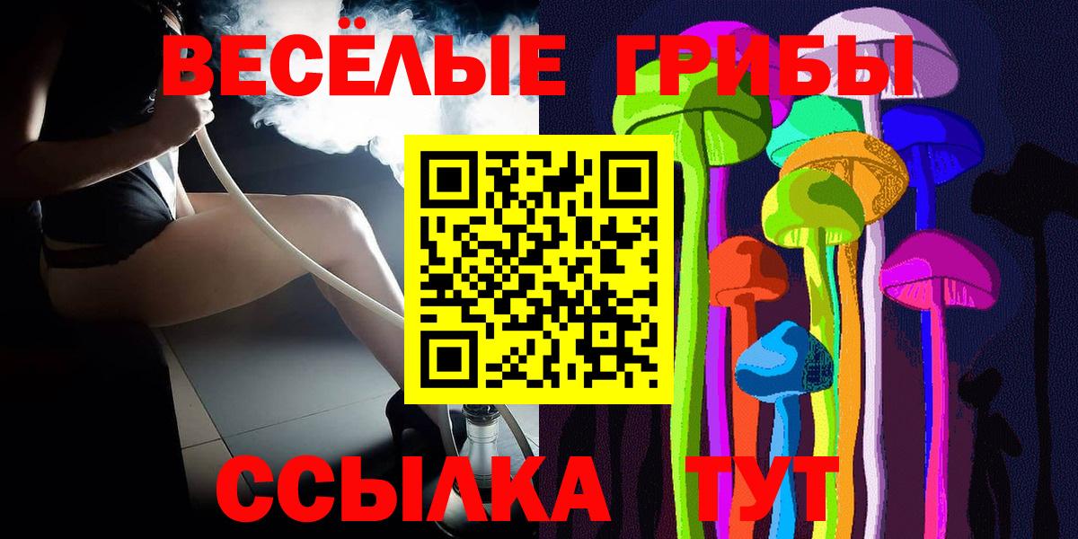 Электрогорск  Псилоцибиновые грибы Cubensis  Вход с VPN  Галлюциногенные грибы Psilocybine cubensis 