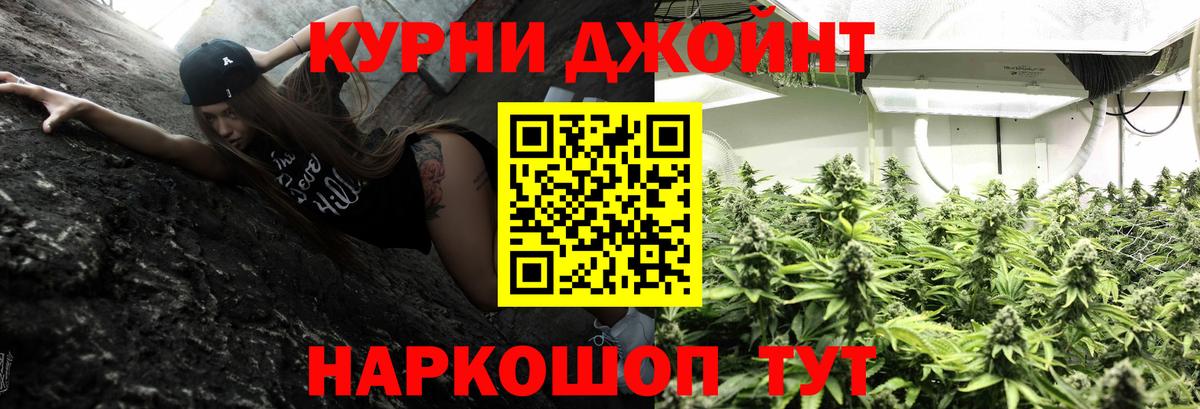 Бошки Шишки конопля  Бошки Шишки White Widow  Электрогорск  Вход с VPN 